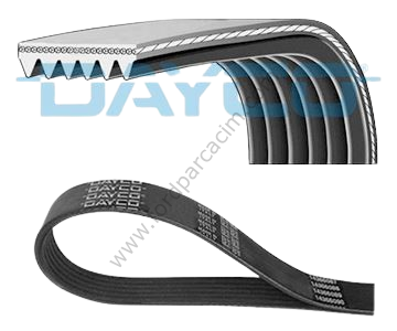 Transit V Kayışı 2007-2013 Arası 2.2 Ö.ÇEKER 6PK873EE DAYCO