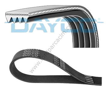 Transit Direksiyon Kayışı 125PS 4PK736 2001-2006 Arası Modeller İçin DAYCO