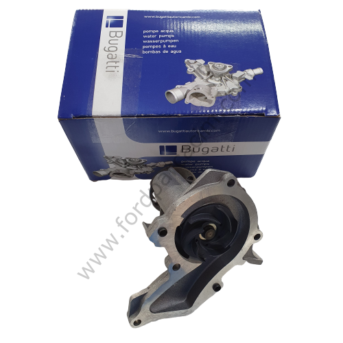 Focus Devirdaim 1.6 Benzinli - 1998-2005 Model Arası