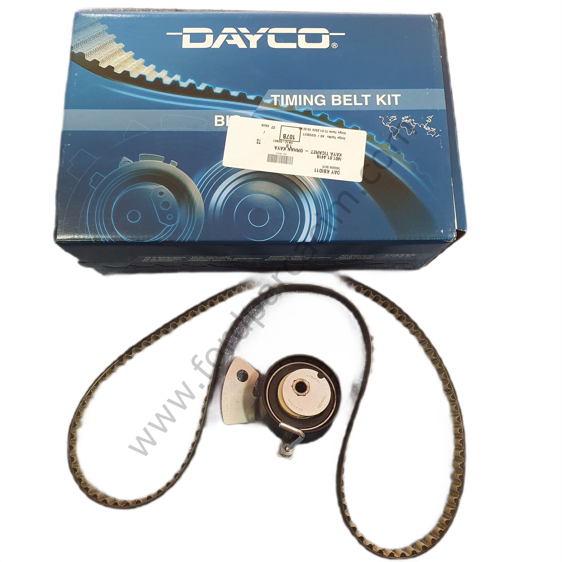 Focus 4 Triger Seti 1.5 Dragon 2018 Sonrası Modeller İçin DAYCO